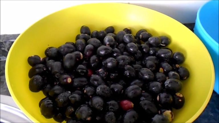 Cómo se aliñan las aceitunas negras