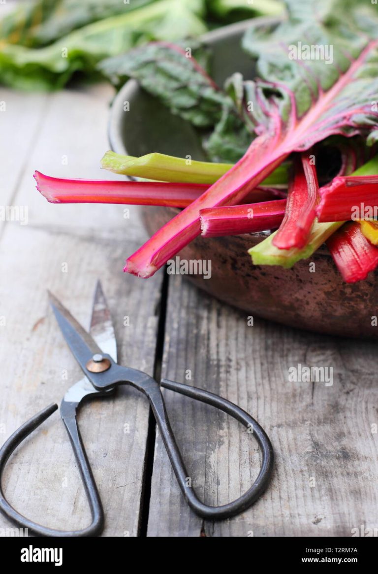 Escabeche de pencas de acelga