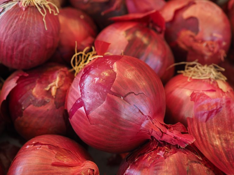 Brócoli con Jamón y Cebolla