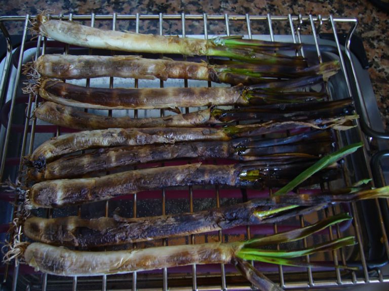 Cómo hacer calçots en barbacoa