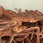Cangrejos de Río al Ajillo cangrejos-deliciosos-y-sabrosos