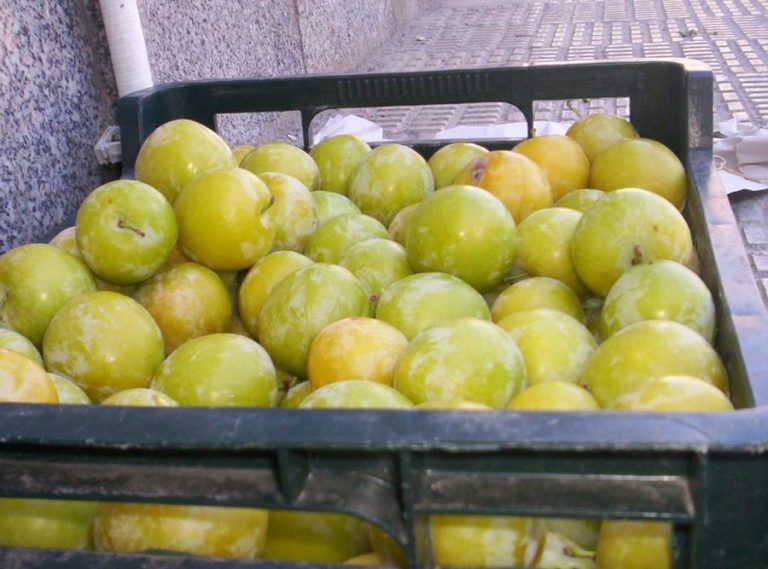 Cómo Hacer Mermelada de Ciruela Claudia