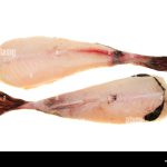 colitas-de-pescado-deliciosas