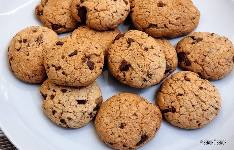 Galletas Avena y Chocolate con Thermomix