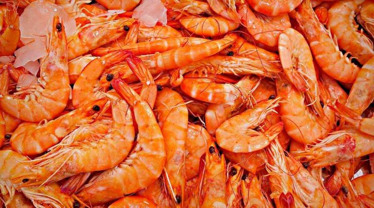 ¿Cuántas gambas son 200 gramos?