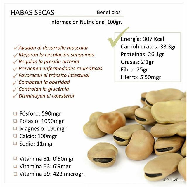 Potaje de Habas Secas Granada