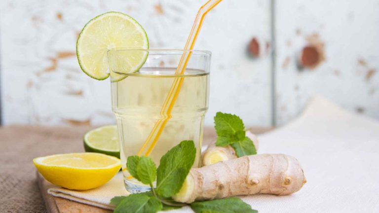 Cómo hacer limonada sin azúcar