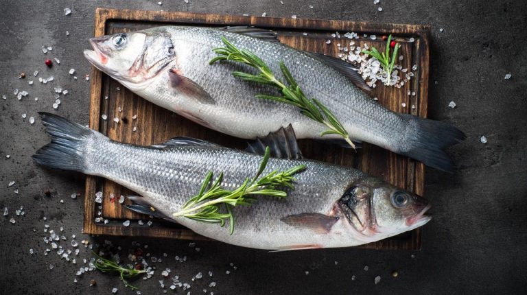 Pescados Parecidos a la Lubina