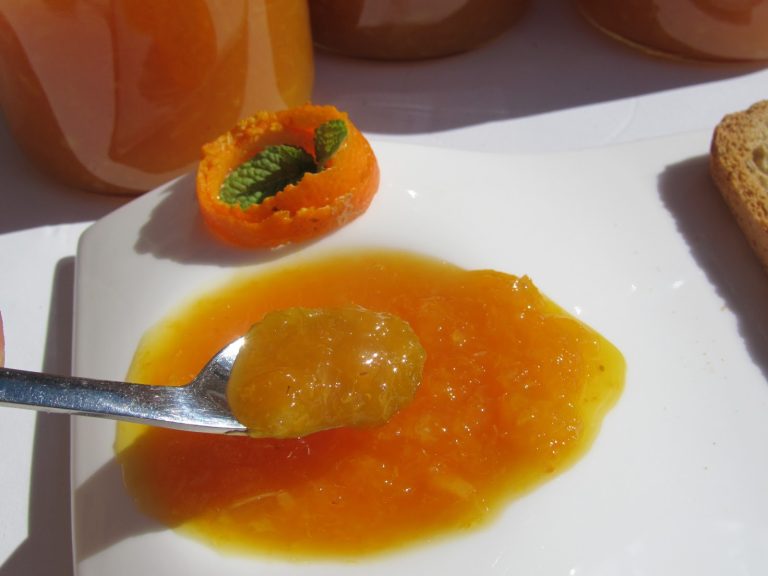 Mermelada de Naranjas Chinas Thermomix