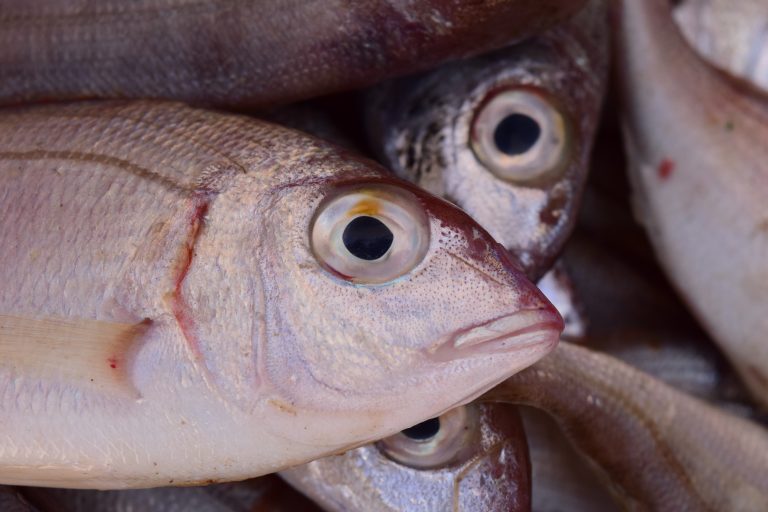 Pescado en Blanco de la Abuela