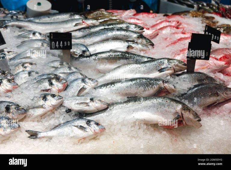 Cuál es el mejor pescado para hacer caldo