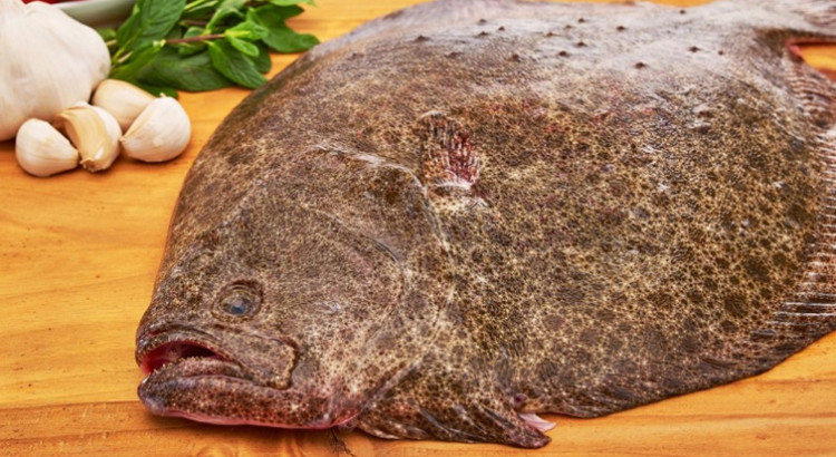 Filetes de Rodaballo a la Gallega