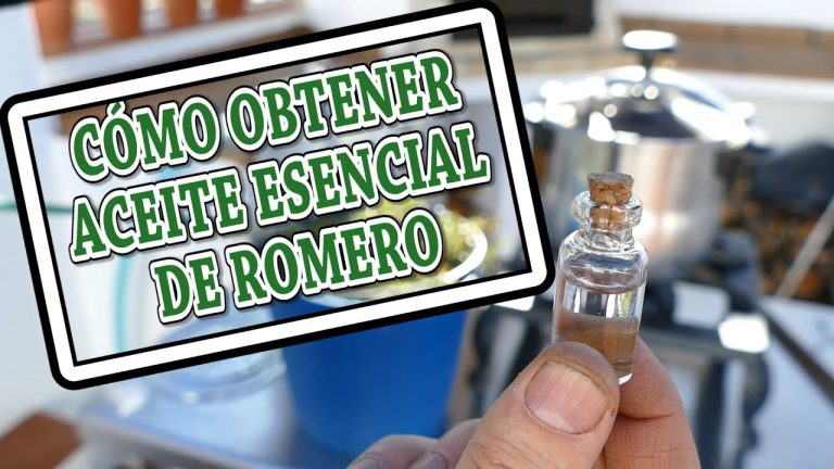 Cómo hacer alcohol de romero paso a paso