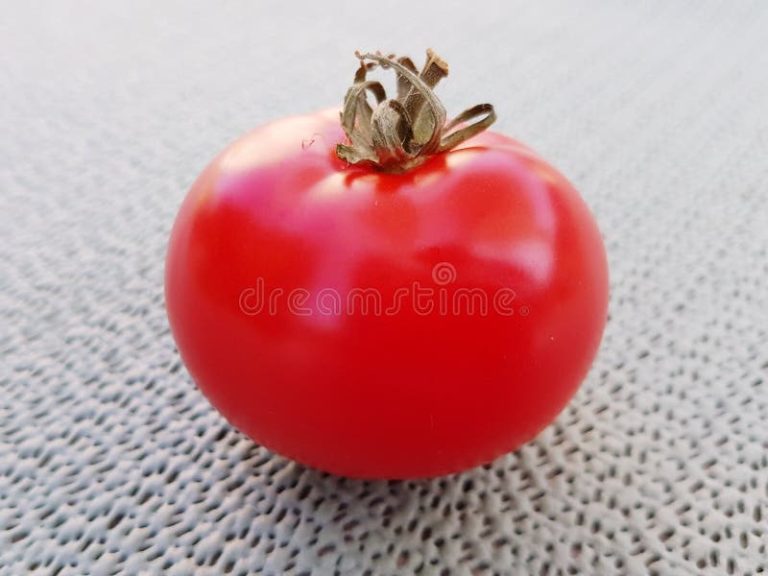 Sopa de Tomate de la Abuela Extremeña