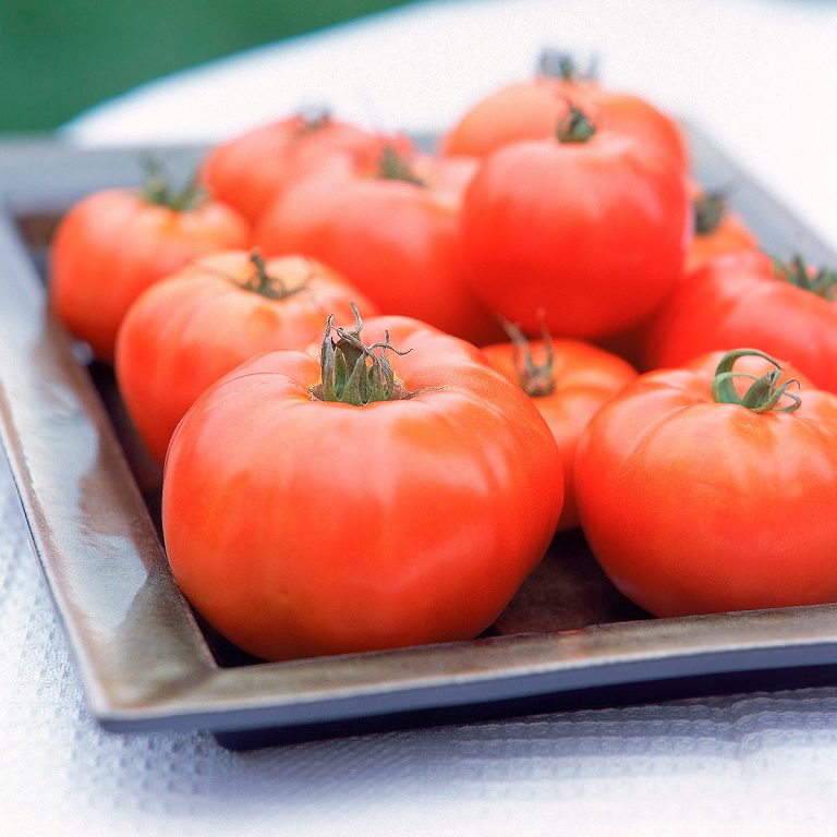 Cómo asar tomates al horno: tiempo y temperatura adecuados