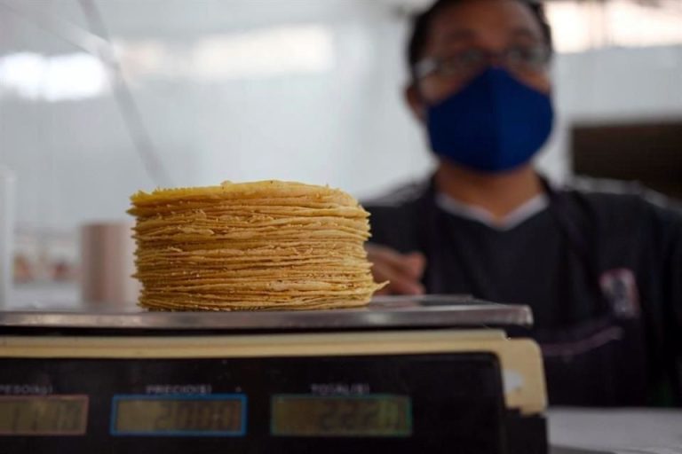 Cómo Hacer Tortilla de Habas Paso a Paso