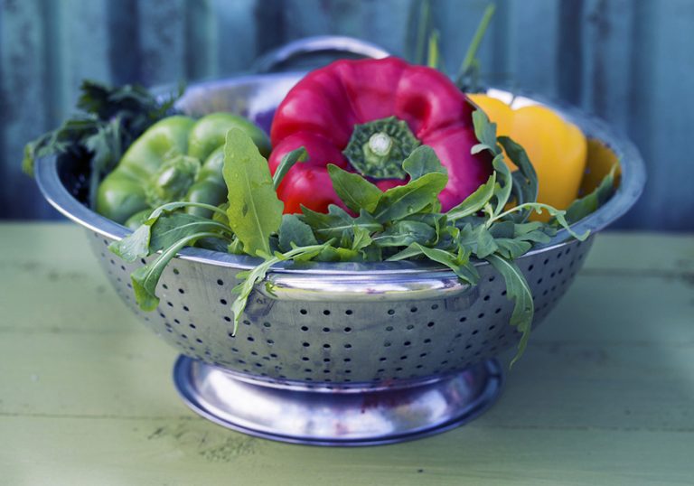 Cortador de Patatas, Frutas y Verduras